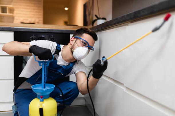 Best Rat Extermination Near Me  in Lake Forest, IL