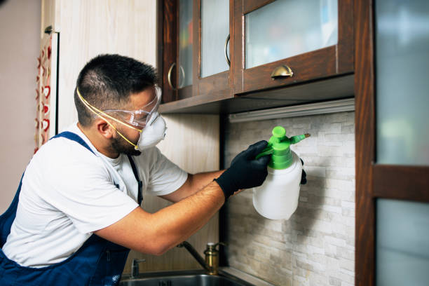 Best Termite Control Services  in Lake Forest, IL
