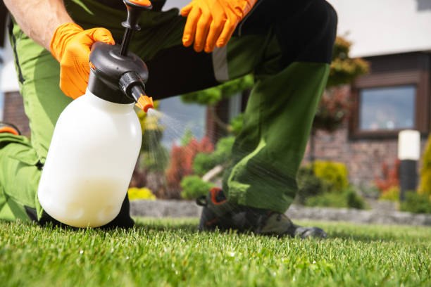 Insect Control in Lake Forest, IL