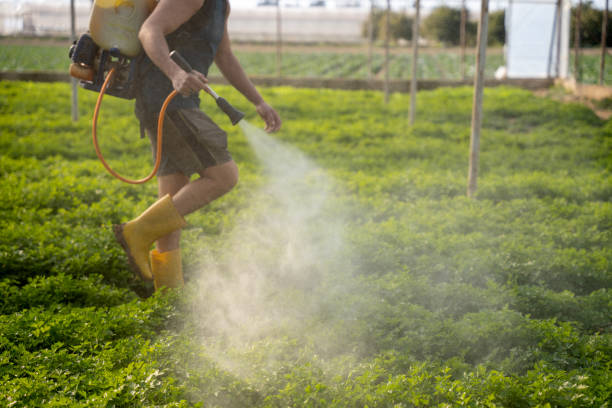 Best Affordable Pest Control Services  in Lake Forest, IL