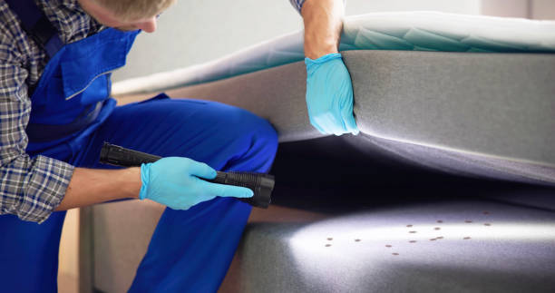 Best Local Pest Control Services  in Lake Forest, IL