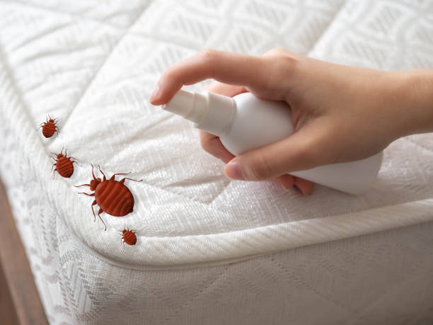 Best Pest Inspection Near Me  in Lake Forest, IL