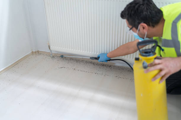 Flea Control Services in Lake Forest, IL