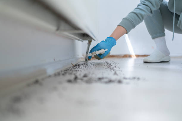 Best Exterminator Services  in Lake Forest, IL